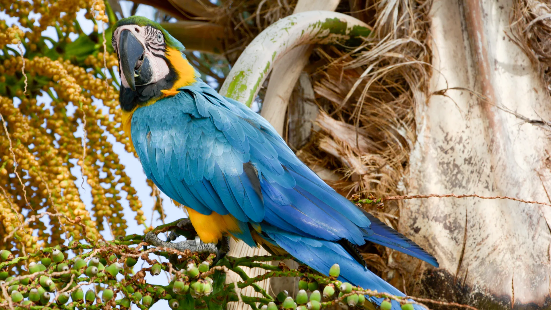Fotografía de productos para catálogos y tiendas online